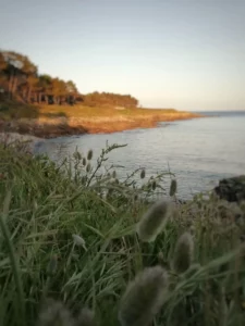 tourisme-sainte-marine-benodet-5