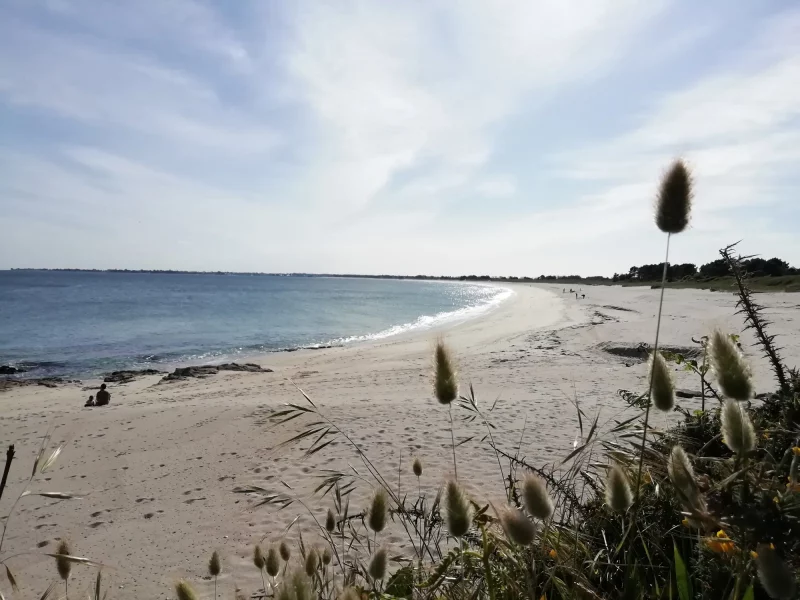 Sainte Marine & Pays Bigouden - Villa O Bord de l'O - bigouden,sainte marine,tourisme,benodet